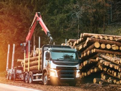 Як вибрати надійний лісовоз?