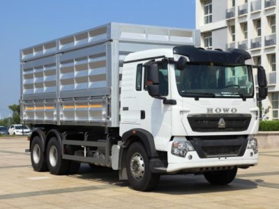 Огляд самоскида-зерновоза HOWO T5 6x4 (Євро-5, 333 к.с.)