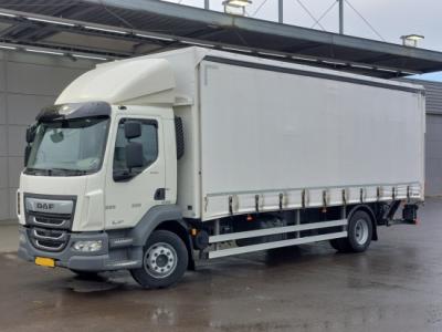 Огляд DAF LF 290 4x2 (Euro-6): універсальна вантажівка для міської та регіональної логістики