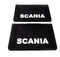 Бризковики Scania (об’ємний текст) 60*40